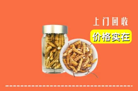 绵阳市游仙回收散虫草