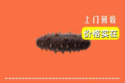 绵阳市游仙回收海参