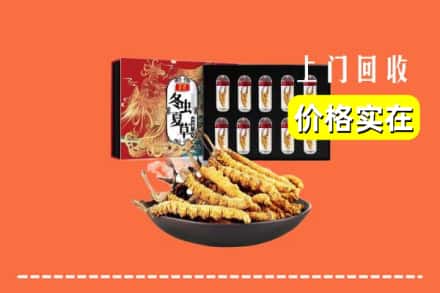 绵阳市游仙回收虫草