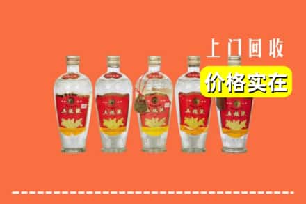 绵阳市游仙回收老五粮液